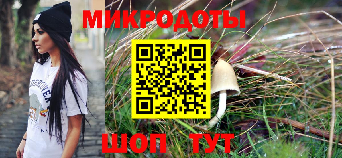 Галлюциногенные грибы Cubensis Куйбышев